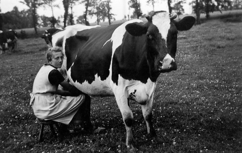 Buren bij’t Wark, van froger bis vandage